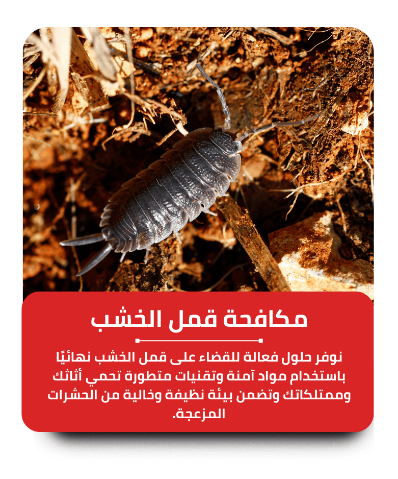 الشركة الألمانية لمكافحة قمل الخشب